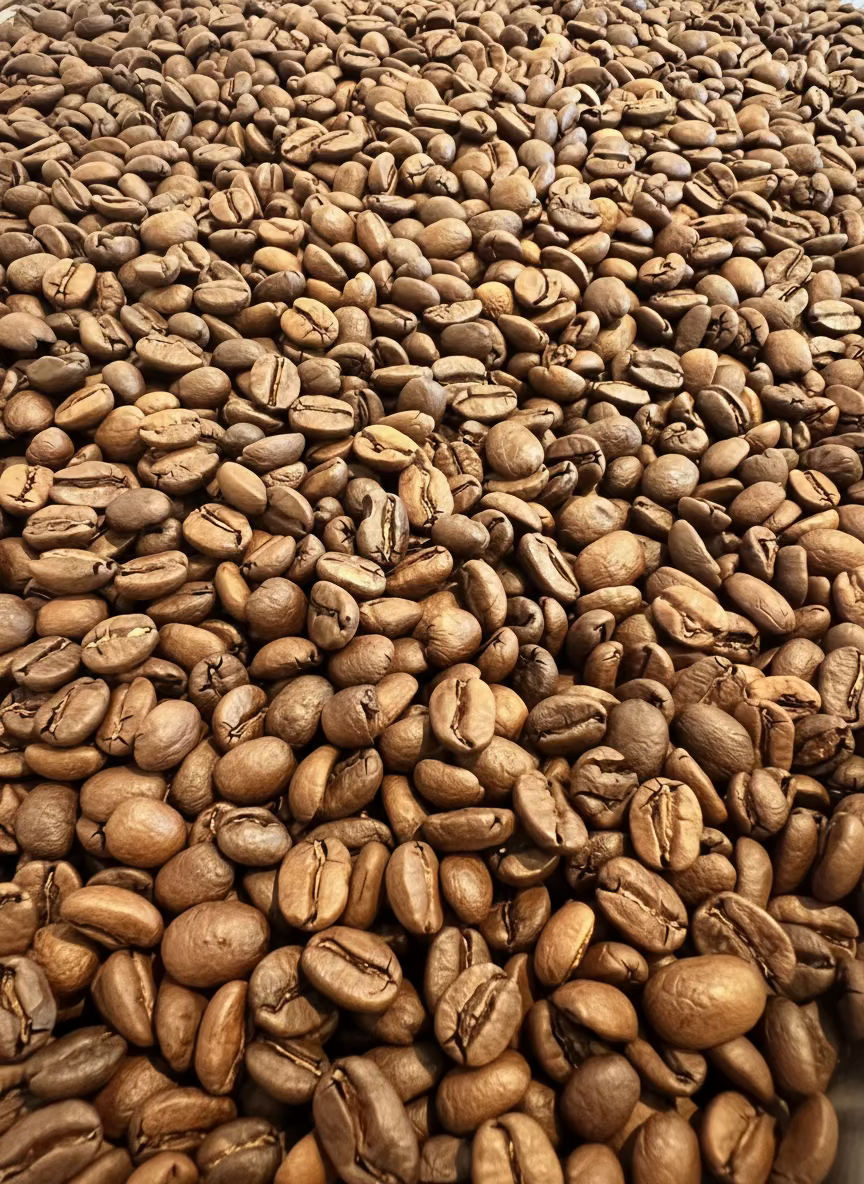 Colombia Finca Perros Bravos